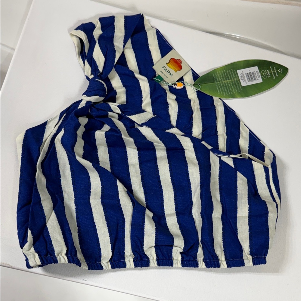 FARM Rio Royal Blue & White Striped Twist Crop Top